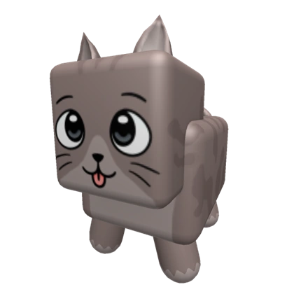 Cat pet Common