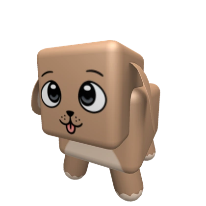 Dog pet Common